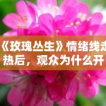 《玫瑰丛生》情绪线走热后，观众为什么开始更关注人物成长代价
