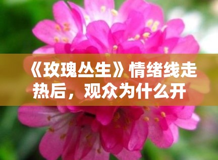 《玫瑰丛生》情绪线走热后，观众为什么开始更关注人物成长代价